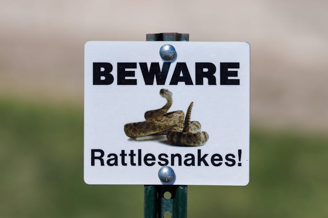 I want to be a day-trader: Shot-Caller —  Baller